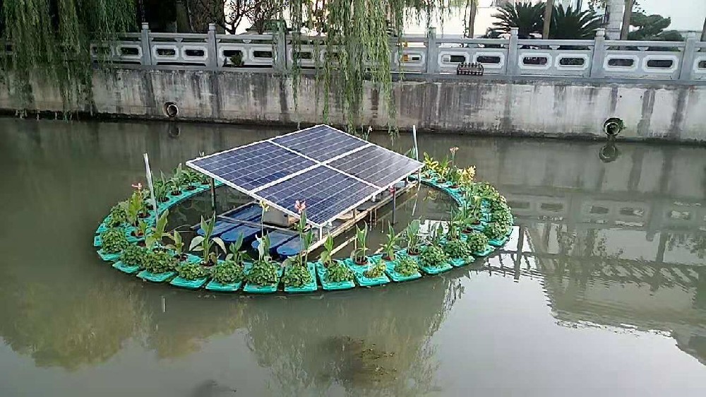 智能型太陽能水生植物綠化水面造景生態浮島浮田型生態浮島
